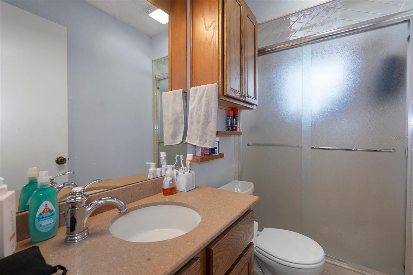 8133 PAGODA DR, SPRING HILL, FL, 34606