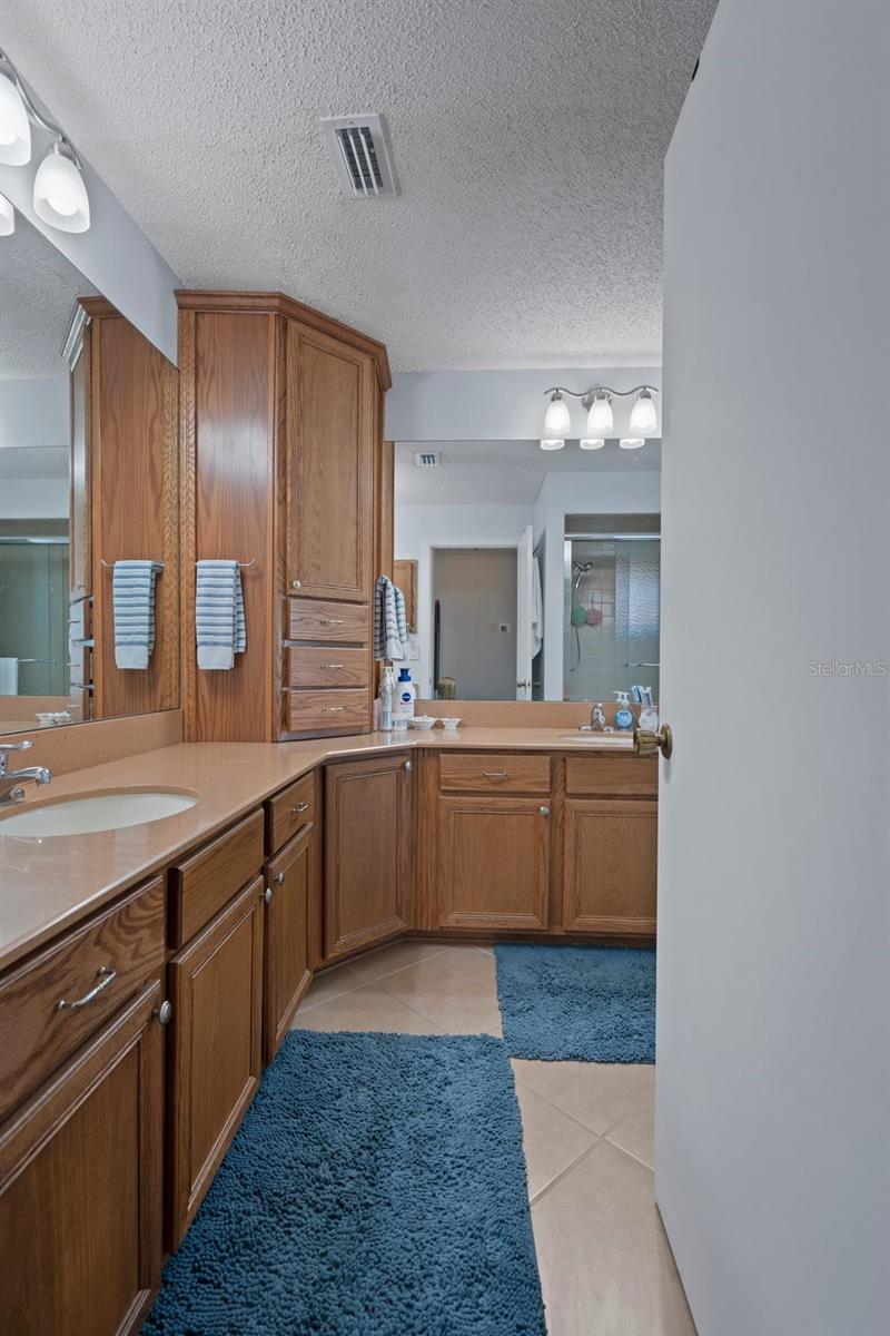 8133 PAGODA DR, SPRING HILL, FL, 34606