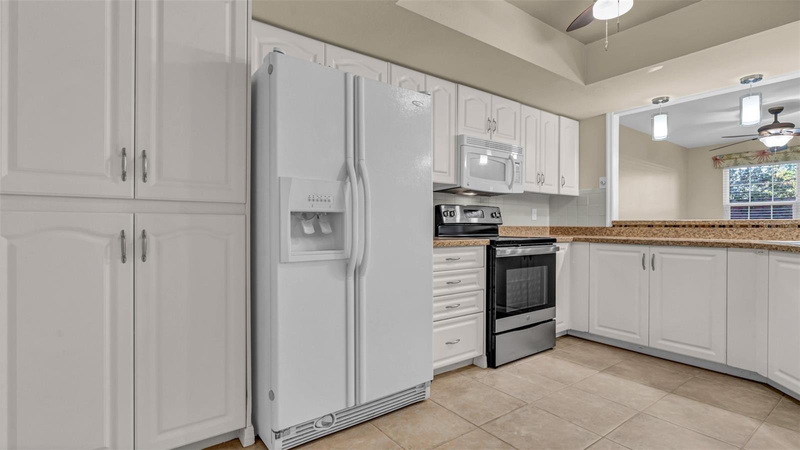14506 ALEJO CT, SEMINOLE, FL, 33776