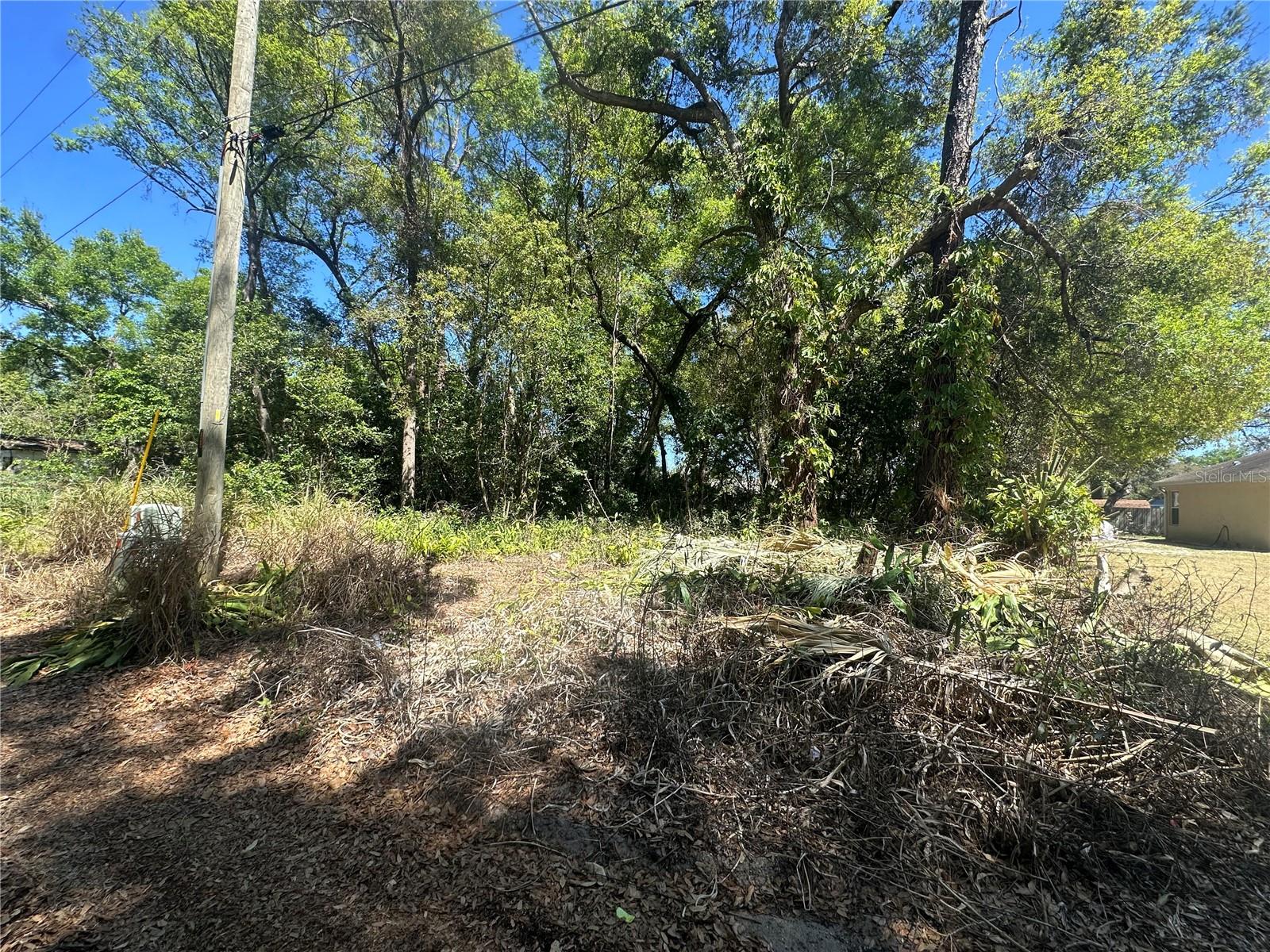 HIGHLAND PARK BLVD, MOUNT DORA, FL, 32757