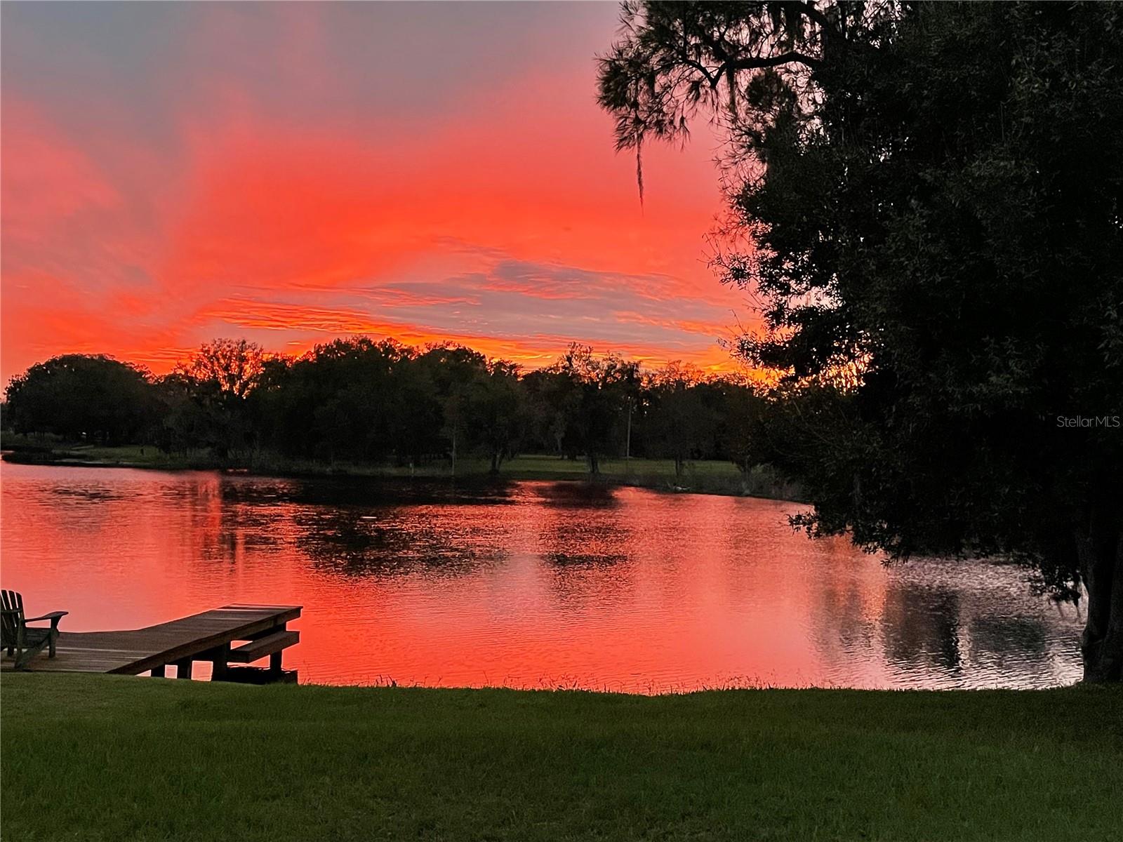 2327 SHIRECREST COVE WAY, LUTZ, FL, 33558