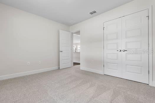 4 ZEPHYR LILY, PALM COAST, FL, 32164