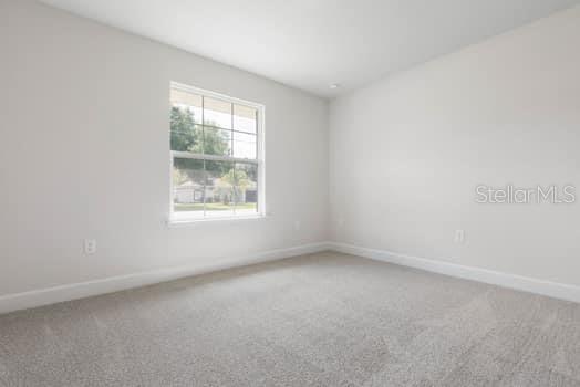 4 ZEPHYR LILY, PALM COAST, FL, 32164