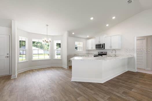 4 ZEPHYR LILY, PALM COAST, FL, 32164