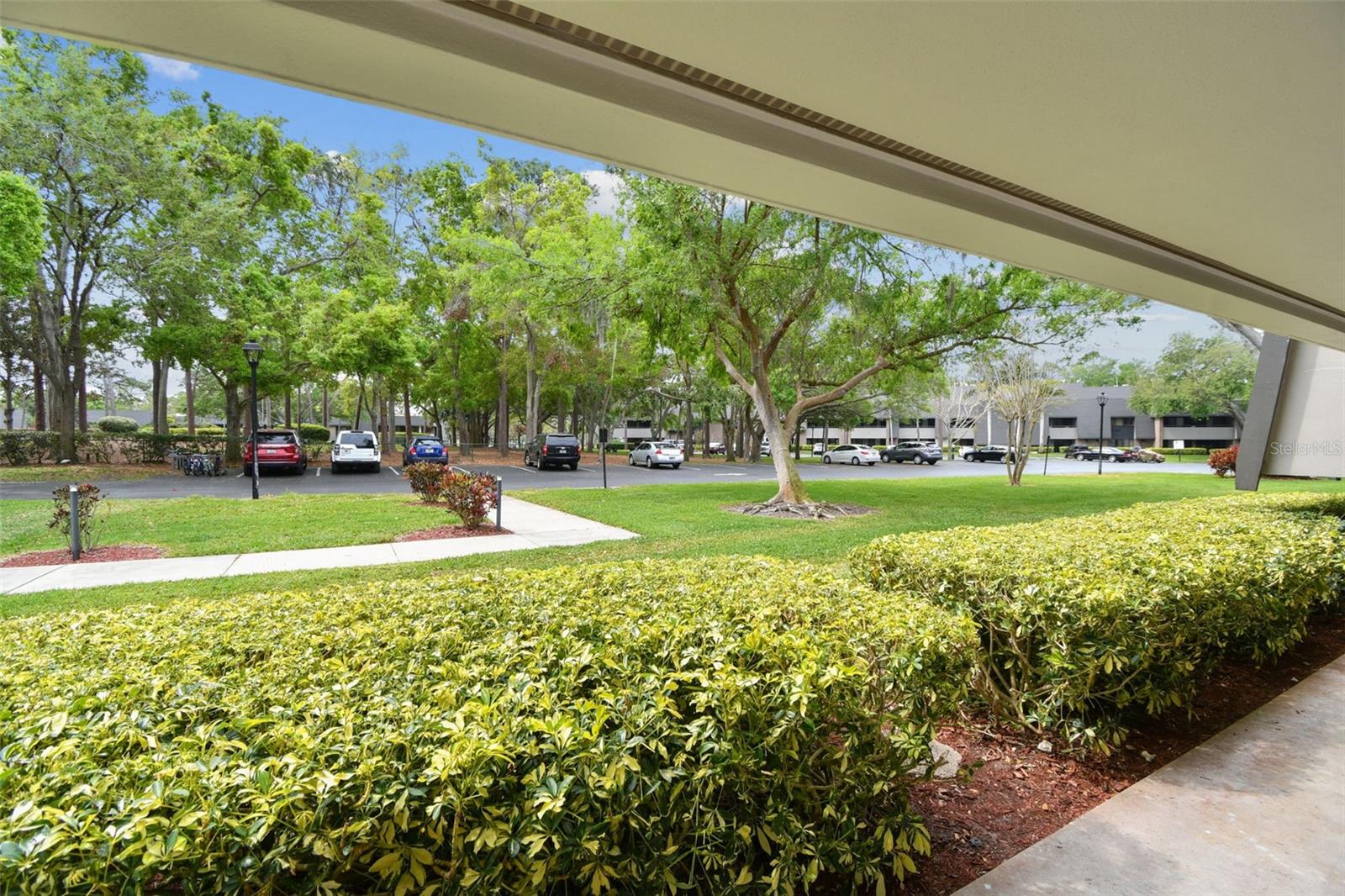 36750 US 19 N #08102, PALM HARBOR, FL, 34684