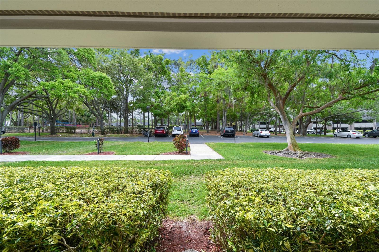 36750 US 19 N #08102, PALM HARBOR, FL, 34684