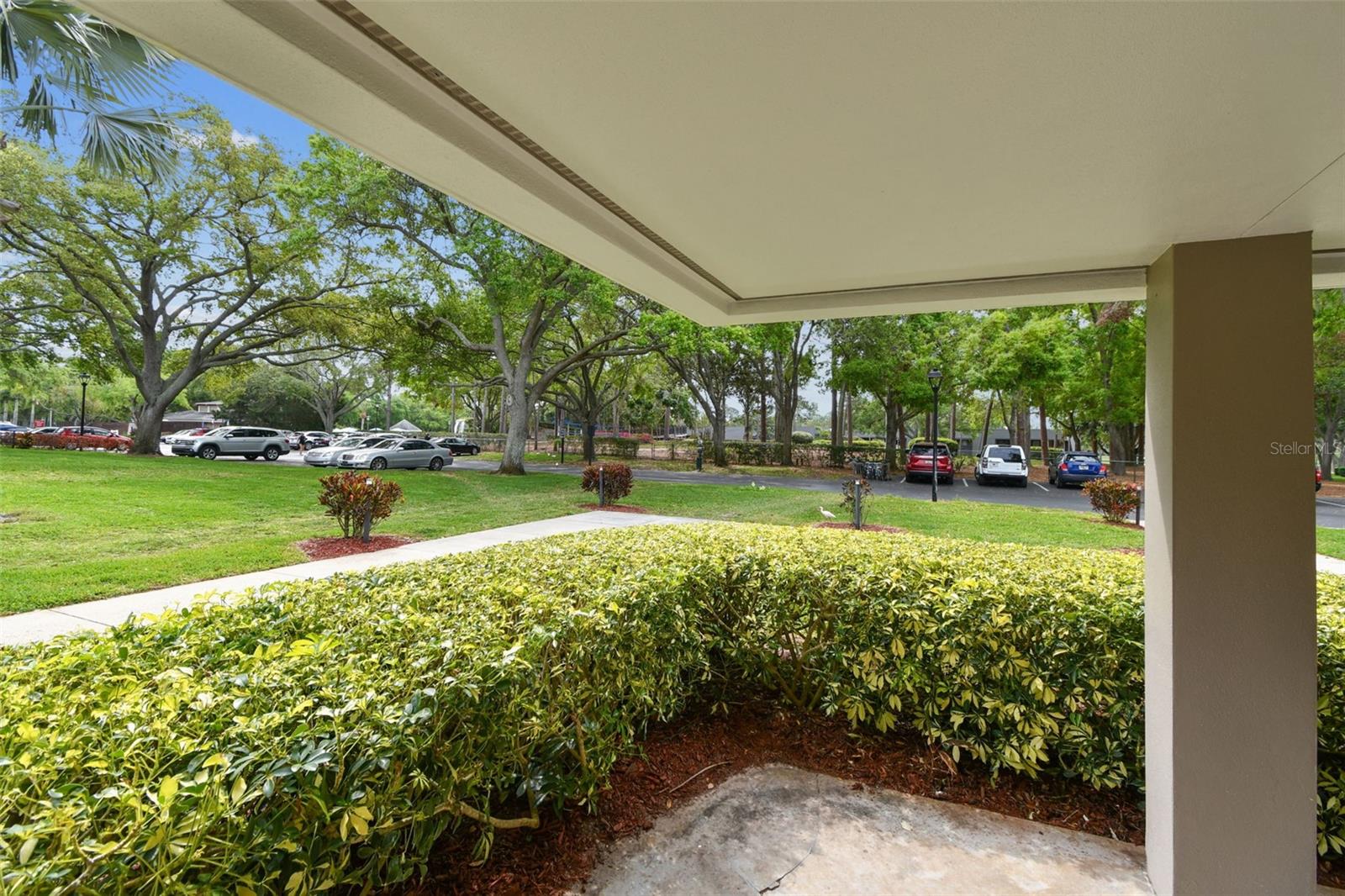 36750 US 19 N #08102, PALM HARBOR, FL, 34684