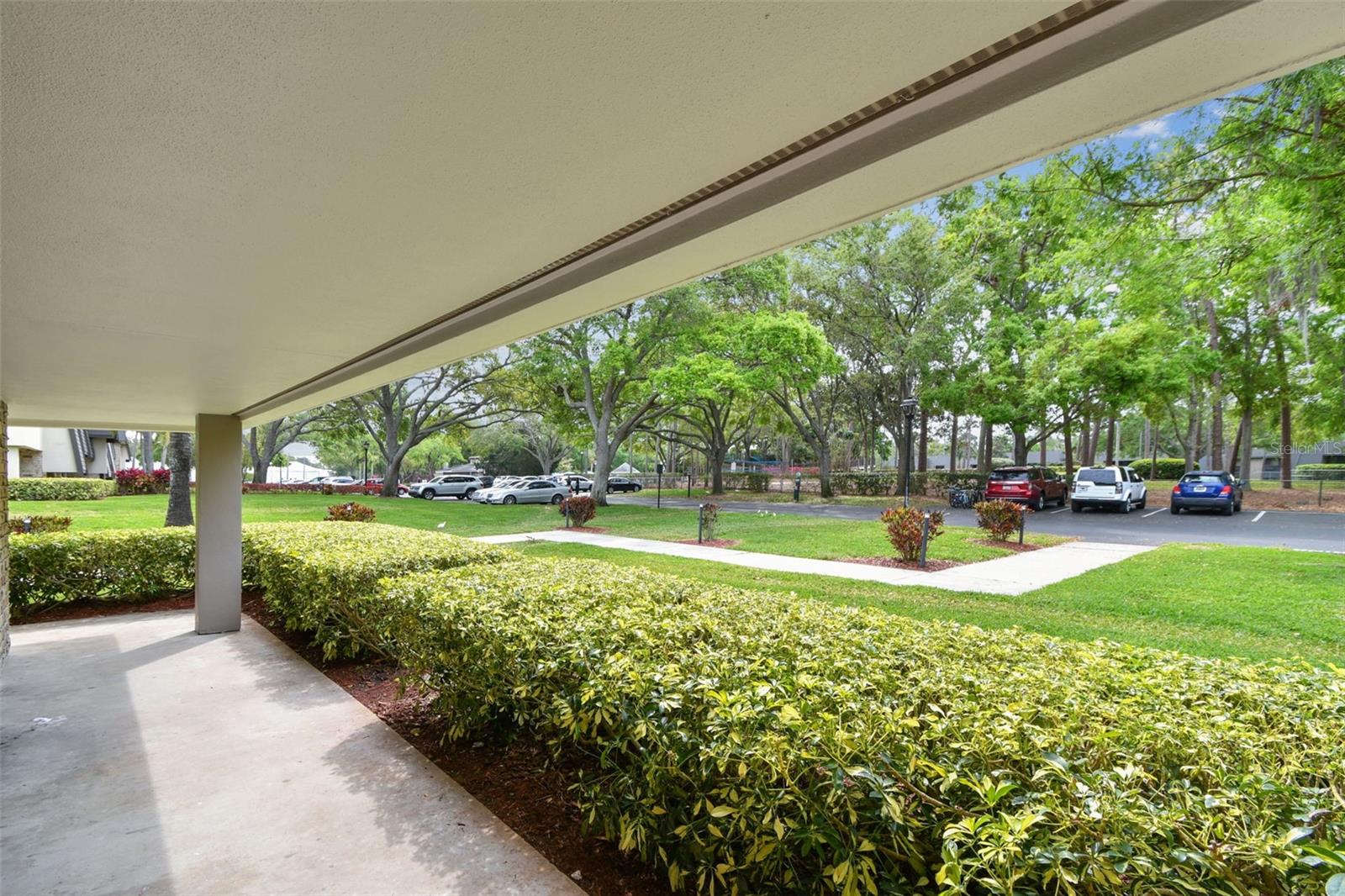 36750 US 19 N #08102, PALM HARBOR, FL, 34684