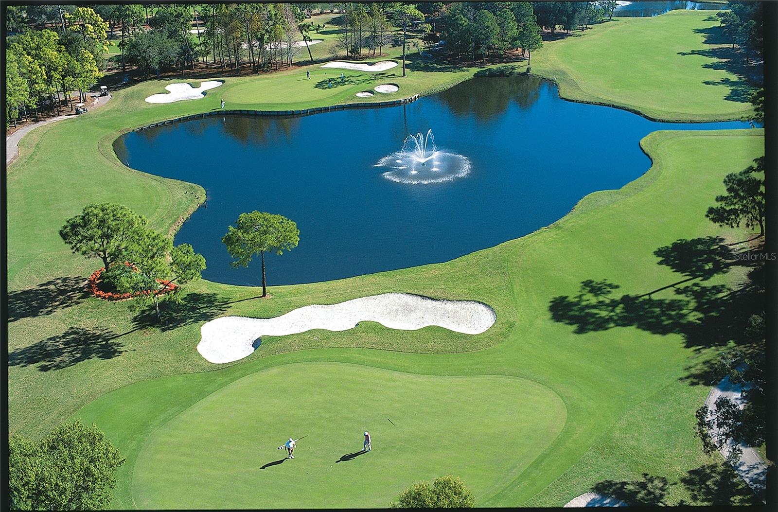36750 US 19 N #08102, PALM HARBOR, FL, 34684