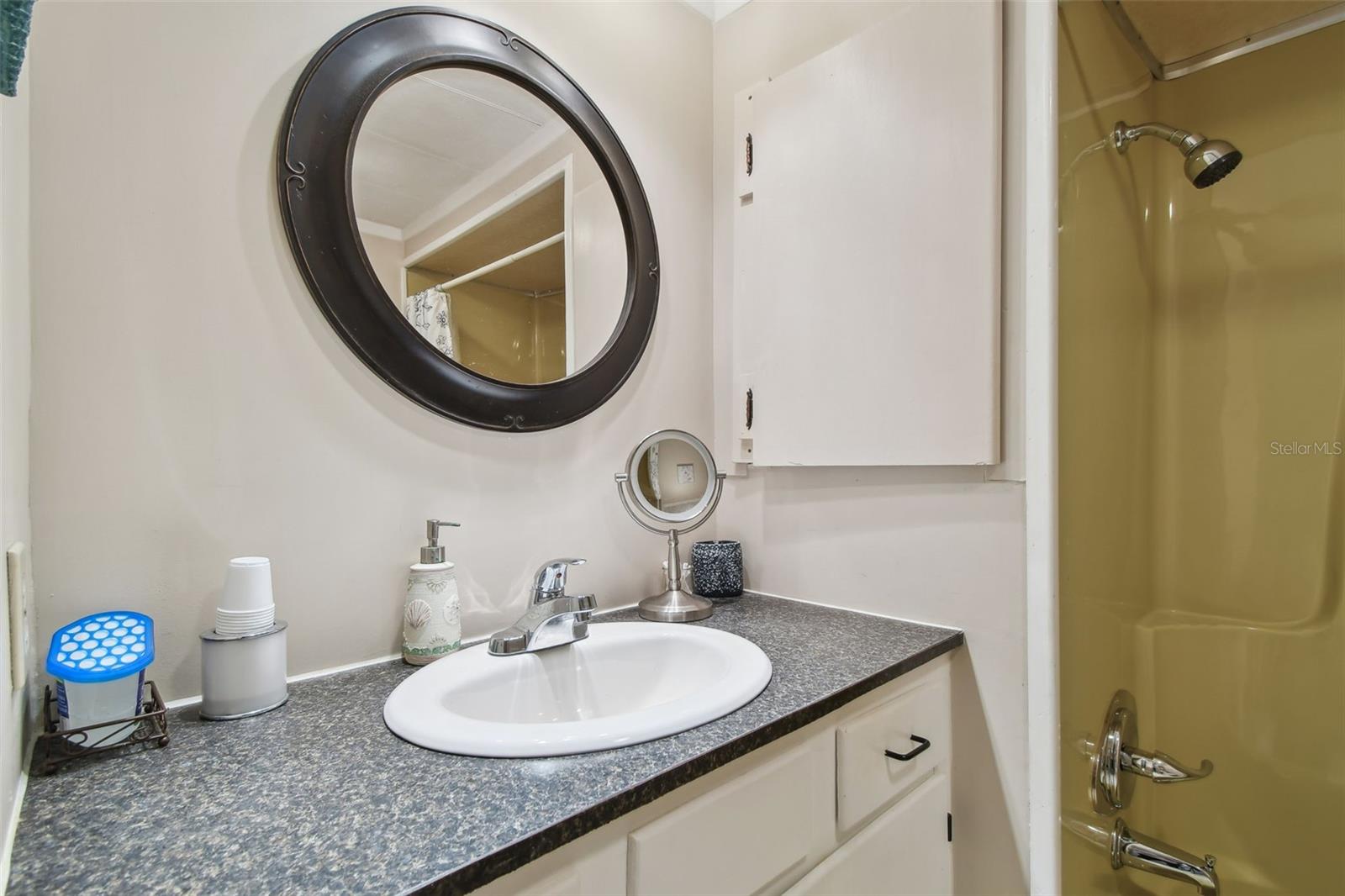 16940 US HIGHWAY 19 N #410, CLEARWATER, FL, 33764