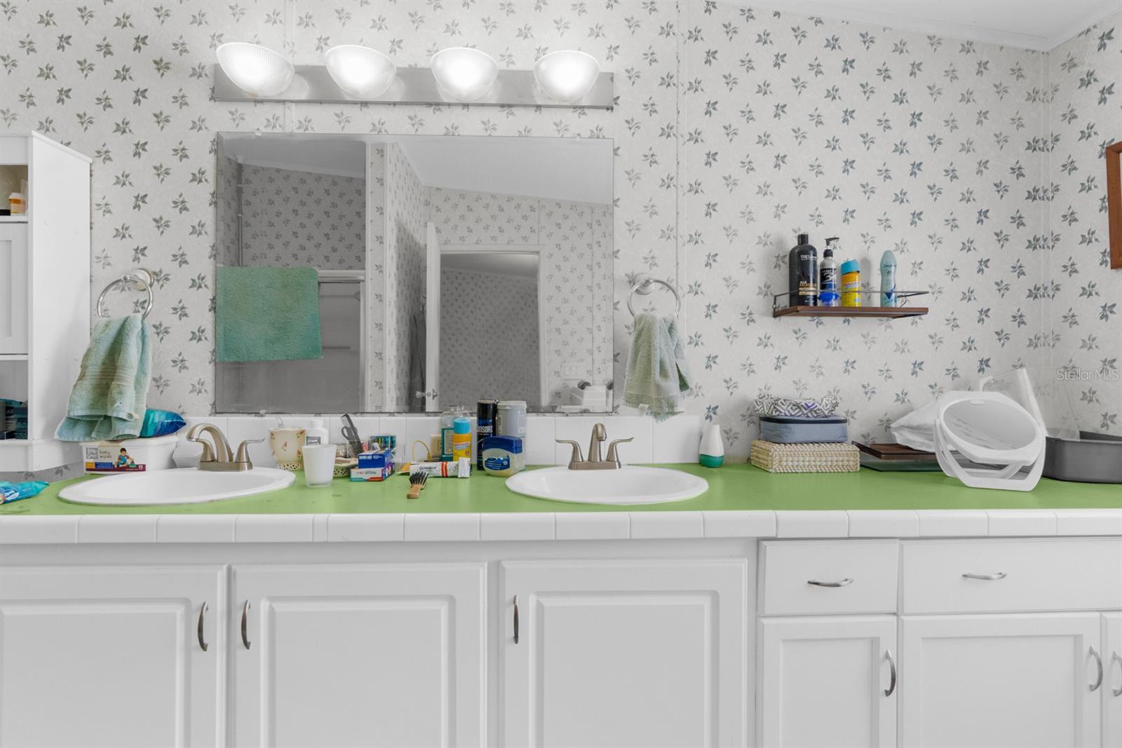 18041 SCOOTER CT, SPRING HILL, FL, 34610