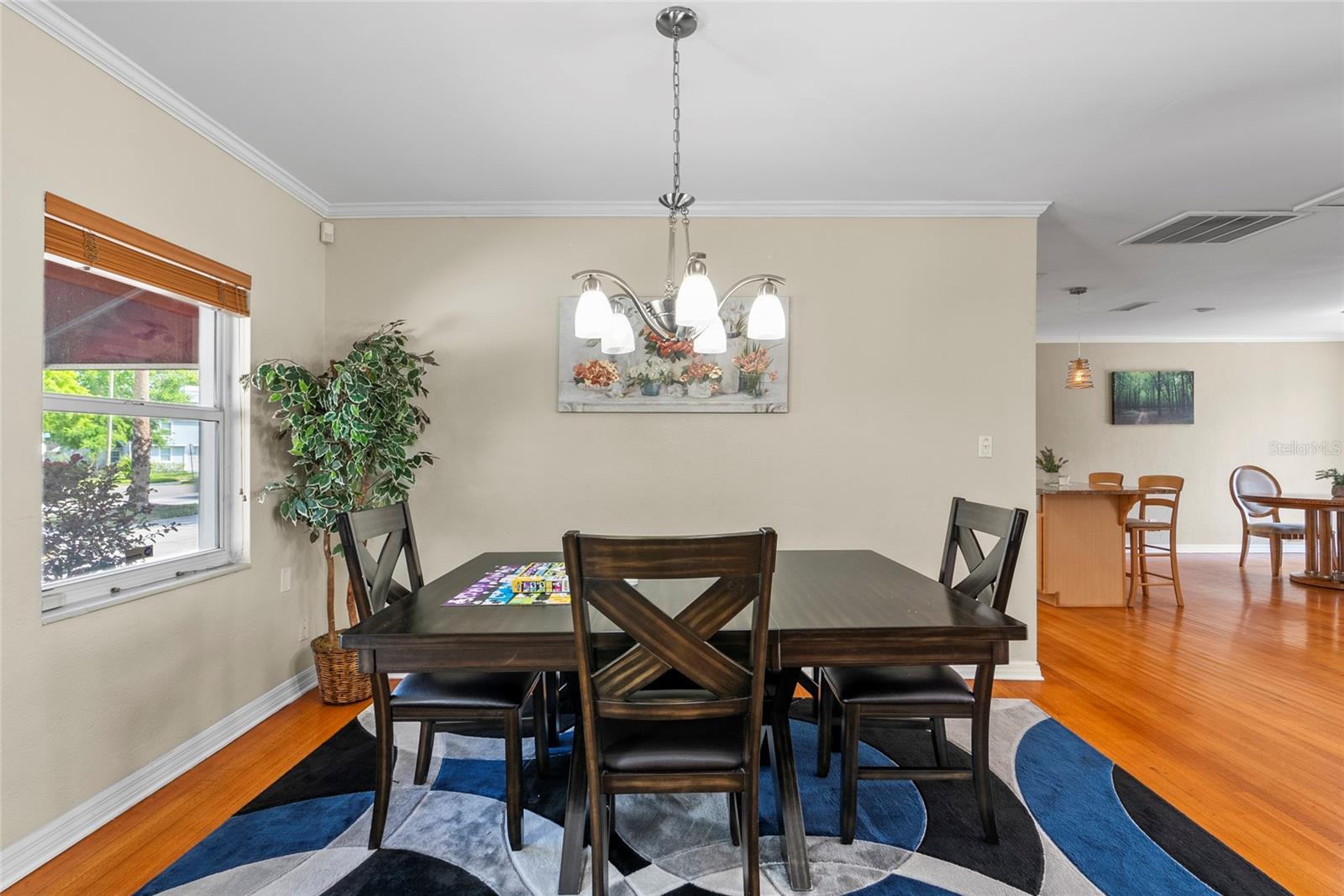 705 S WEST SHORE BLVD, TAMPA, FL, 33609