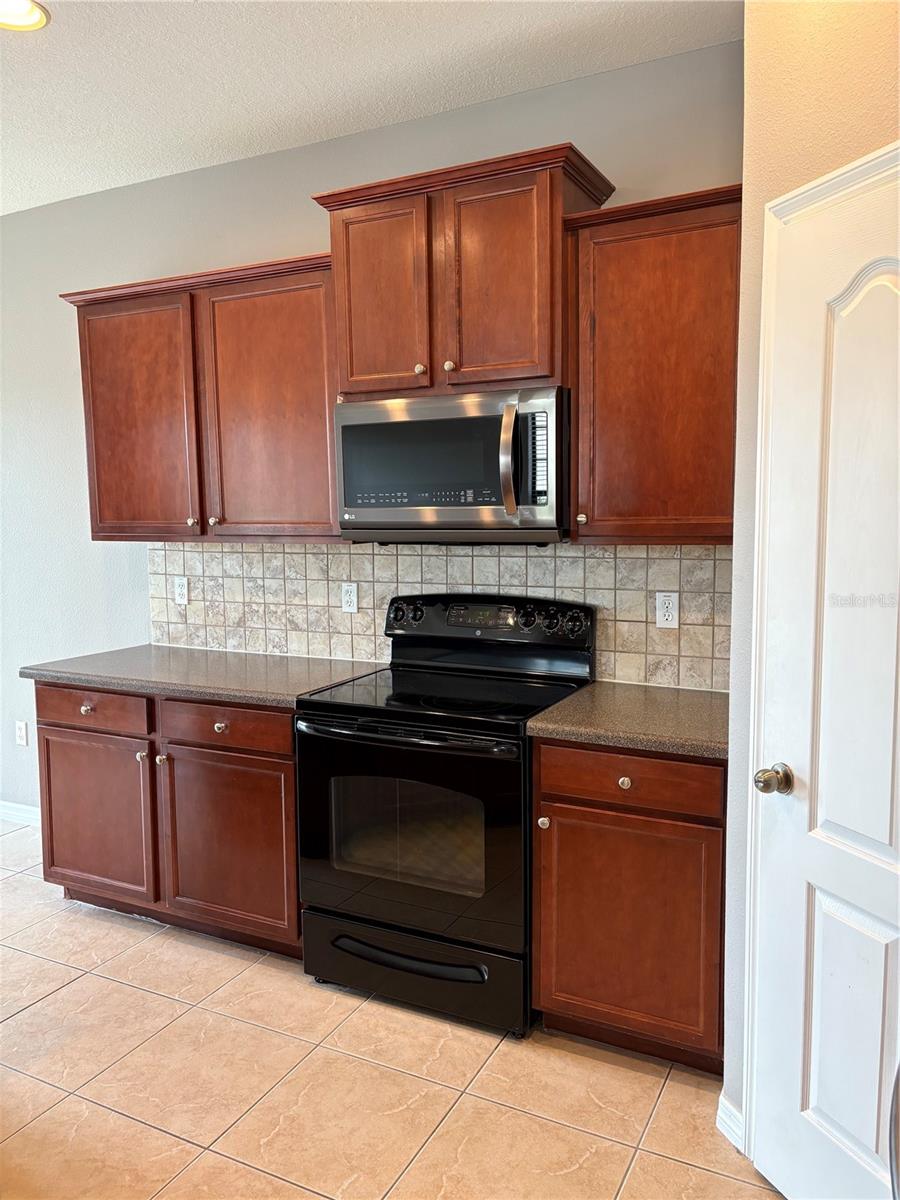 16539 KINGLETRIDGE AVE, LITHIA, FL, 33547