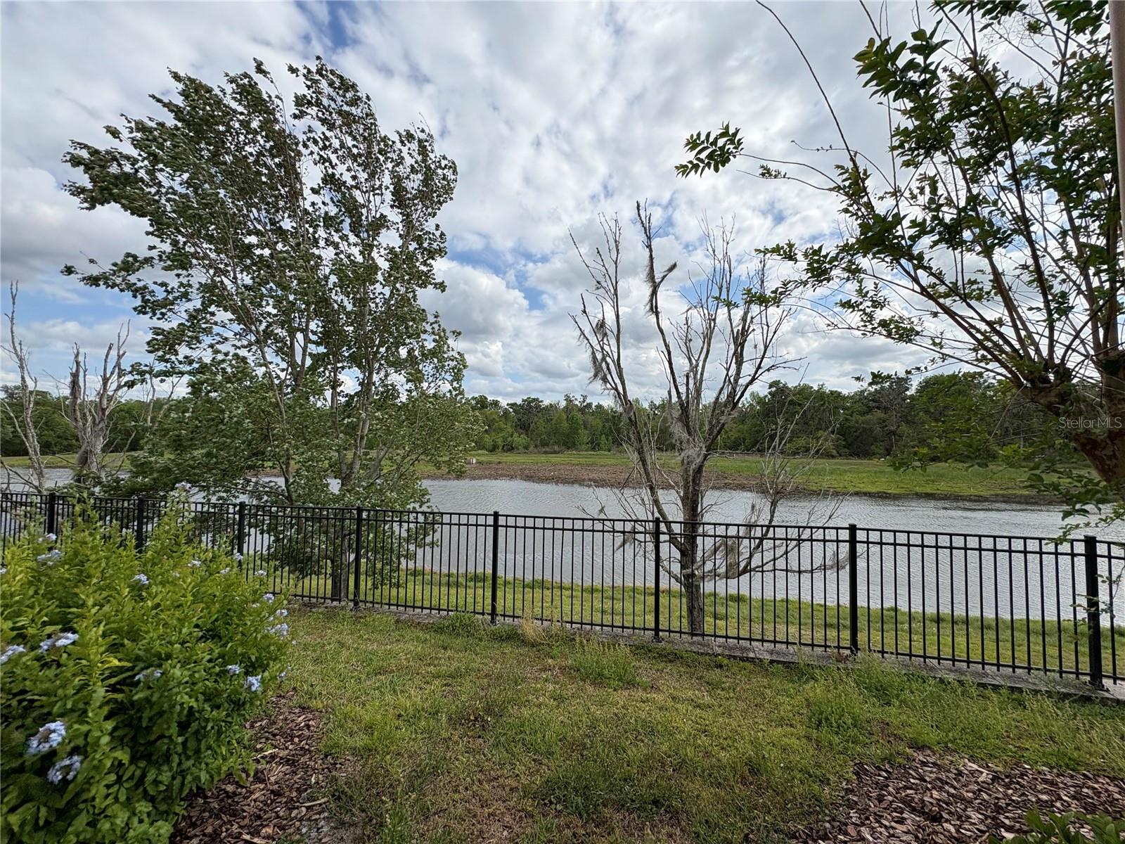 16539 KINGLETRIDGE AVE, LITHIA, FL, 33547
