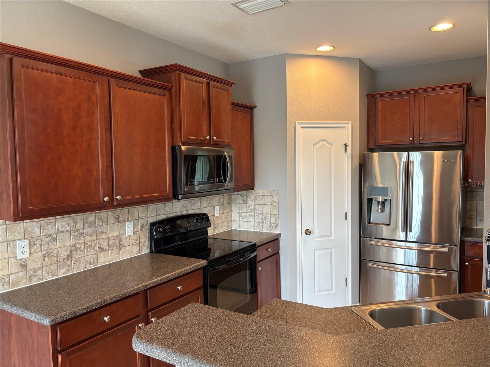 16539 KINGLETRIDGE AVE, LITHIA, FL, 33547