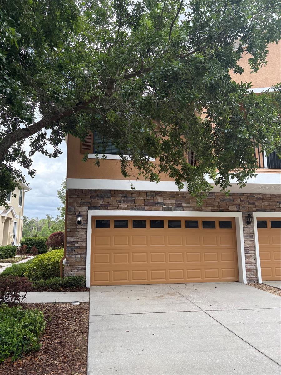 16539 KINGLETRIDGE AVE, LITHIA, FL, 33547