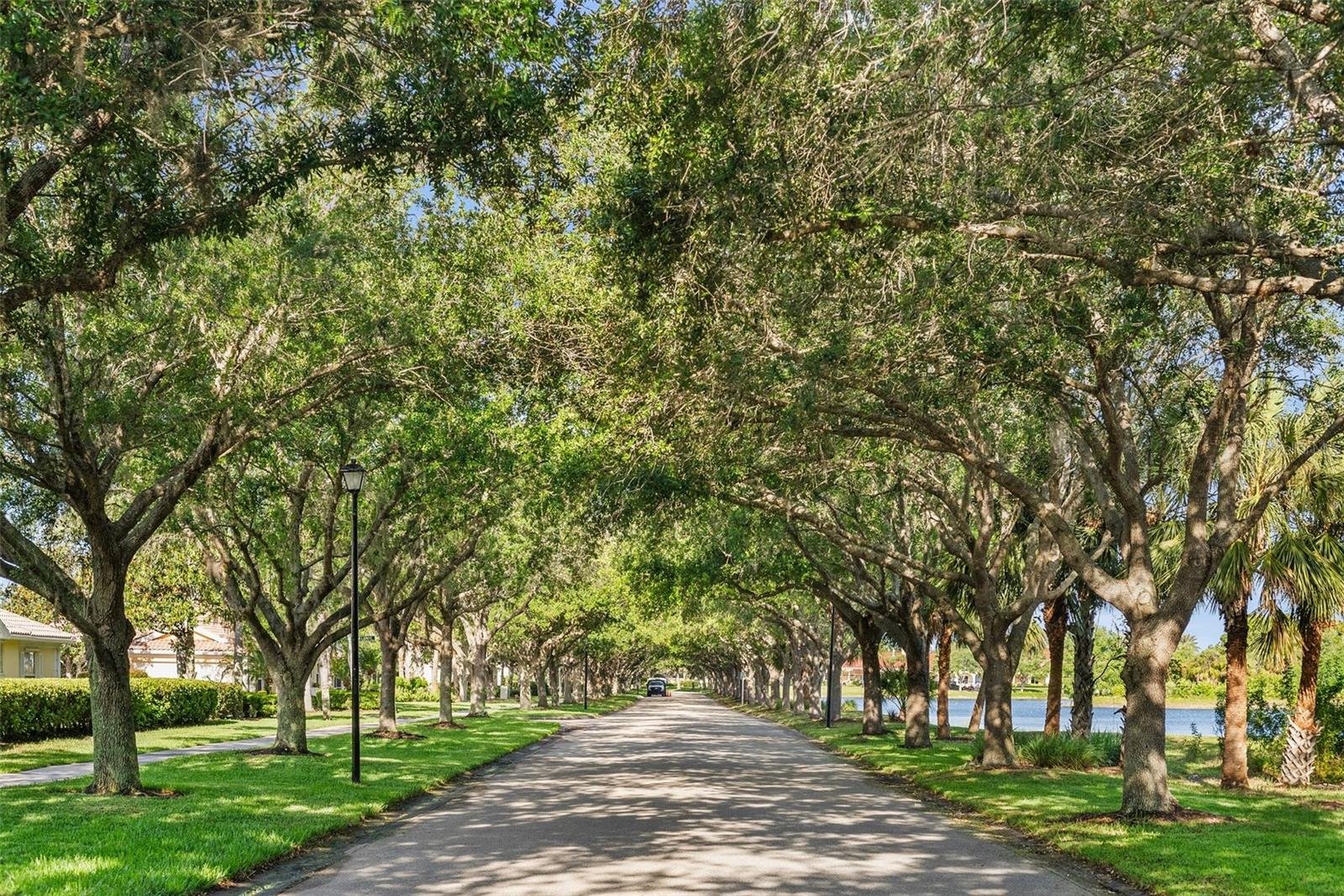 7665 BERGAMO AVE, SARASOTA, FL, 34238
