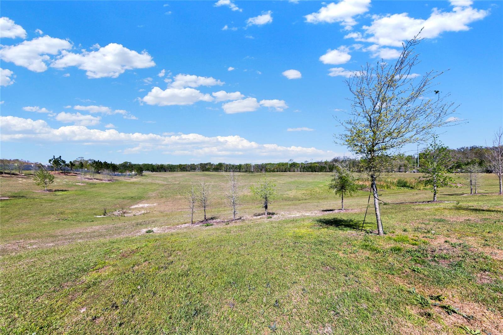 11207 AMBER RIDGE DR, ZELLWOOD, FL, 32798