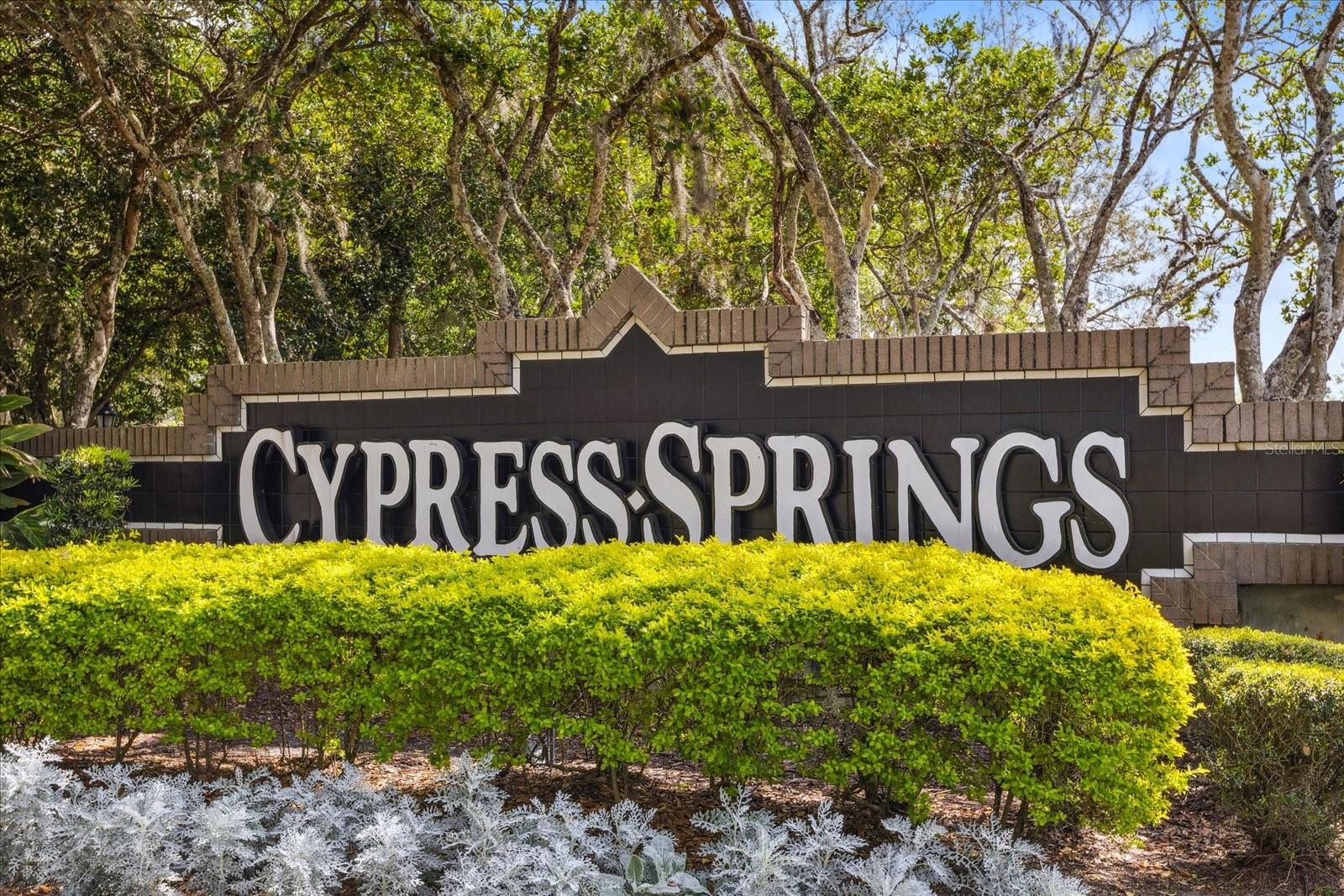 2315 CYPRESS TRACE CIR, ORLANDO, FL, 32825