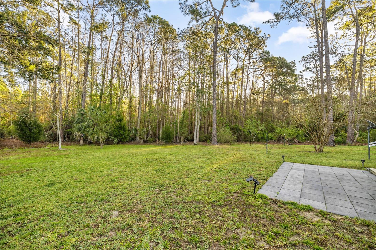 13225 NE 41 ST, SILVER SPRINGS, FL, 34488