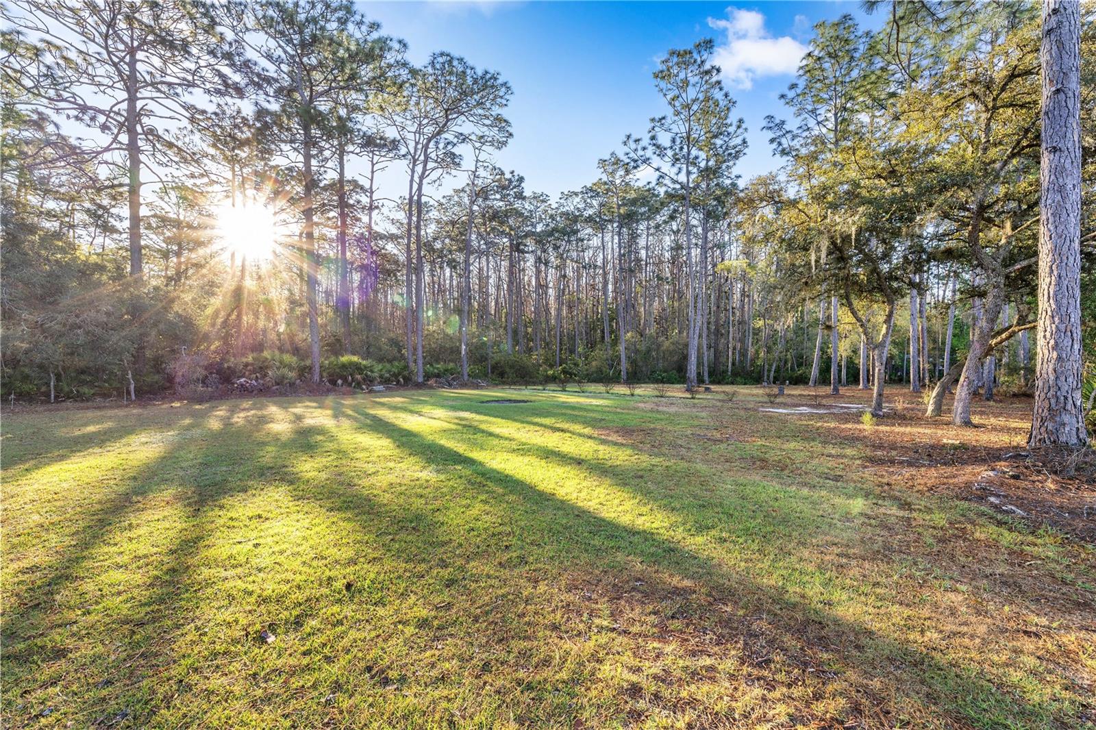 13225 NE 41 ST, SILVER SPRINGS, FL, 34488