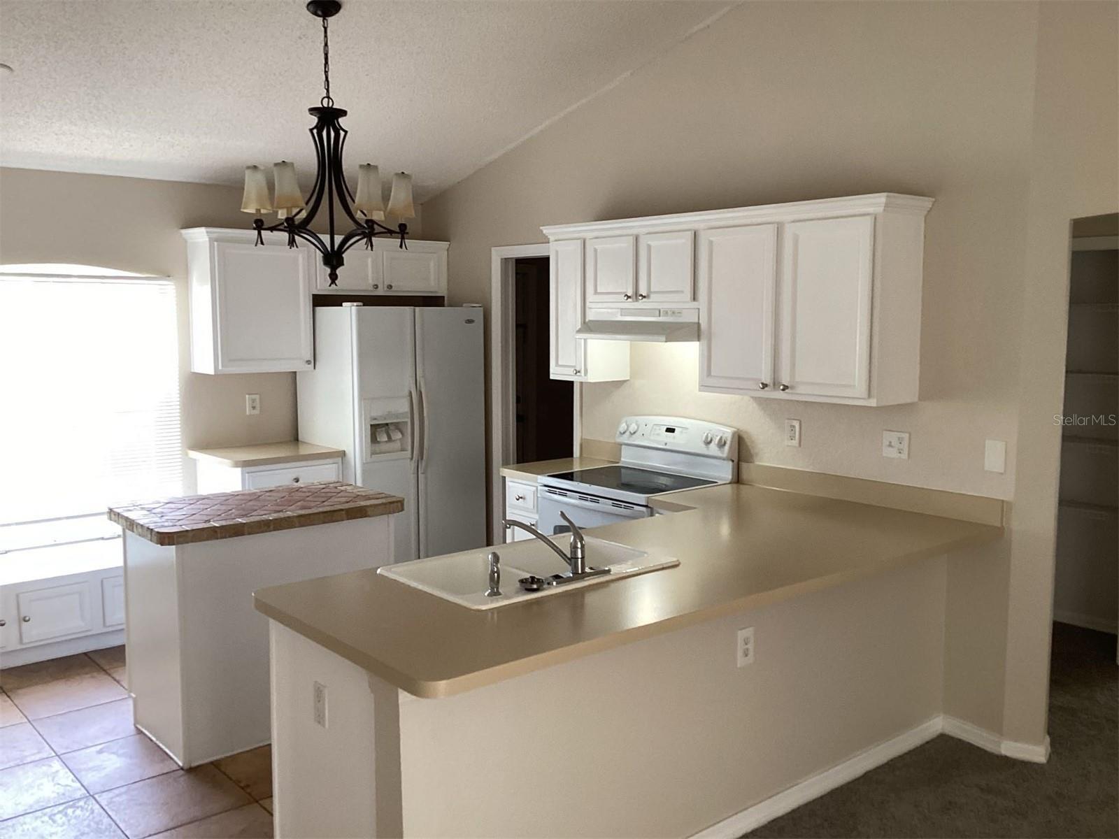 7244 LAMPLIGHTER ST, SPRING HILL, FL, 34606