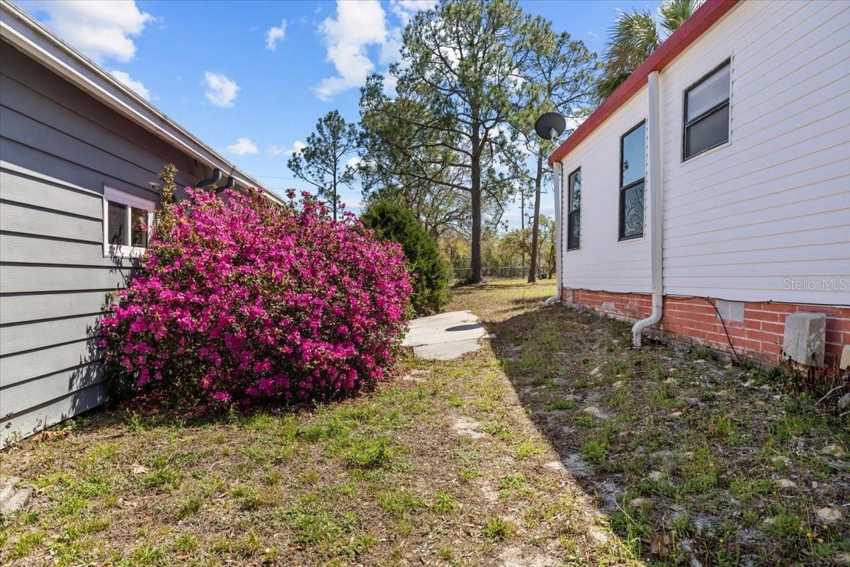 12459 FAIRWAY AVE, BROOKSVILLE, FL, 34613