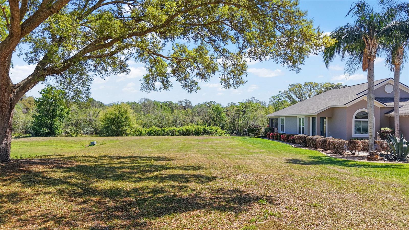 6136 LANDINGS BLVD, LADY LAKE, FL, 32159