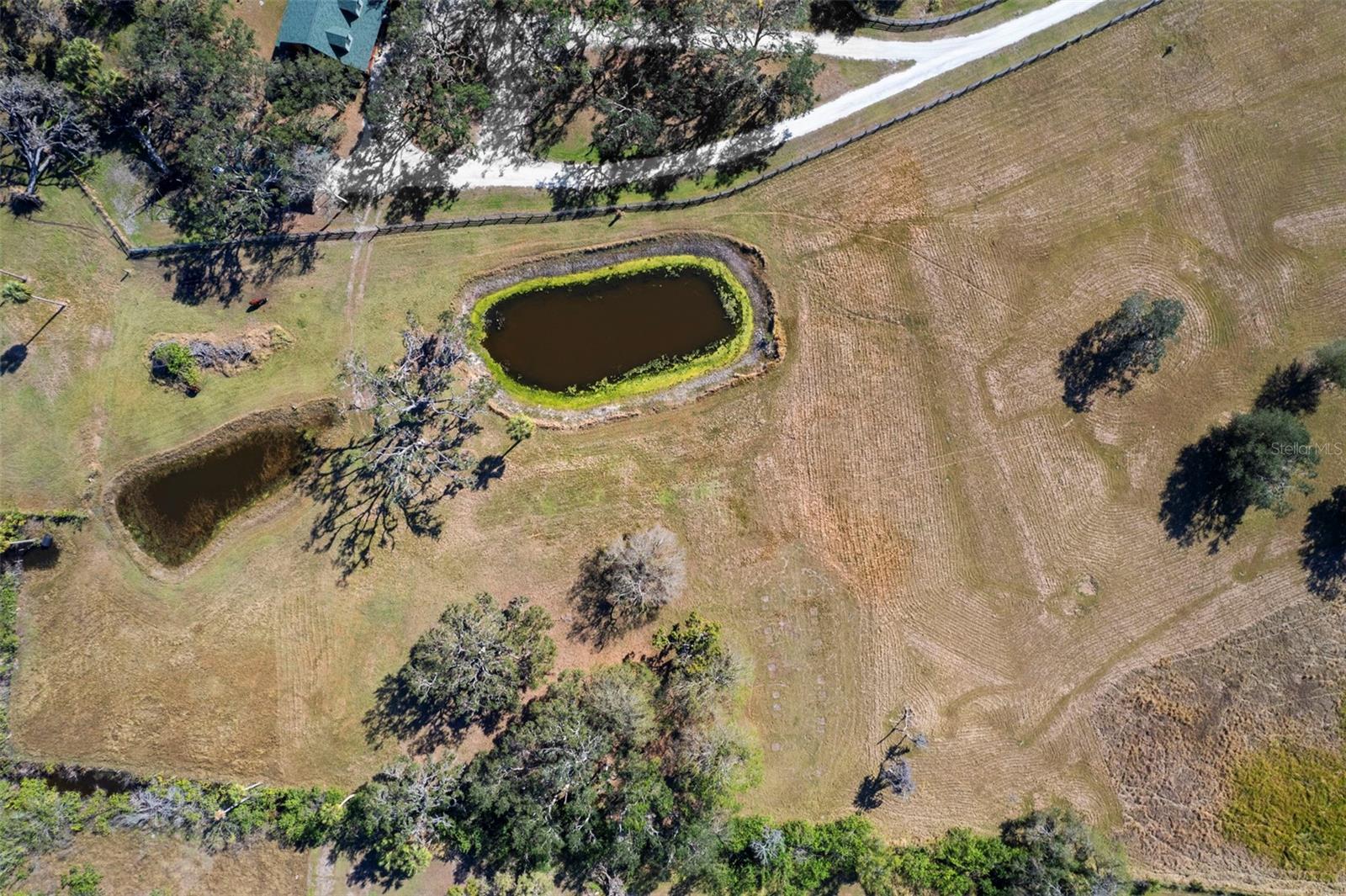 7000 US-19, TERRA CEIA, FL, 34250