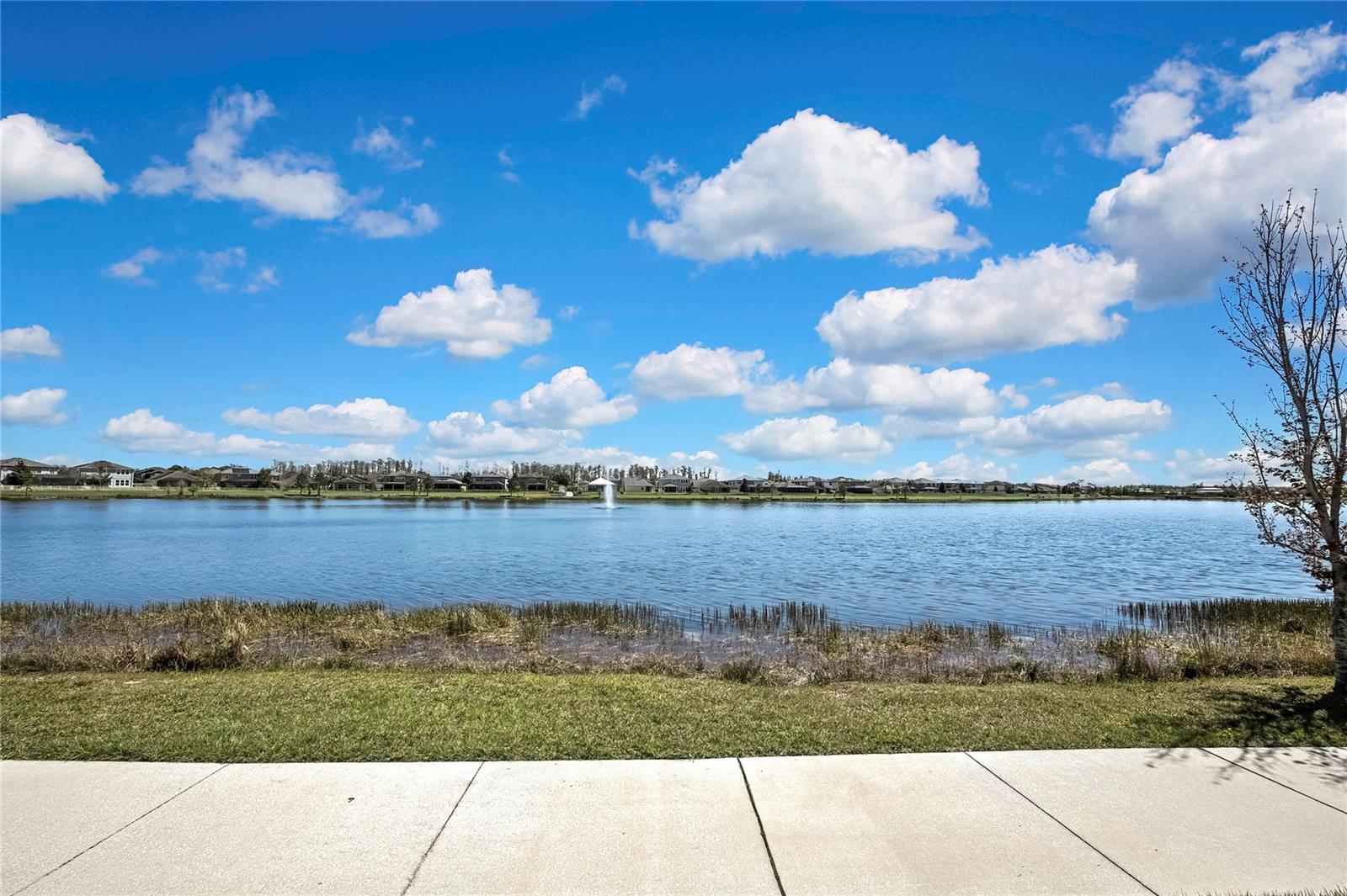 19793 LONG LAKE RANCH BLVD, LUTZ, FL, 33558