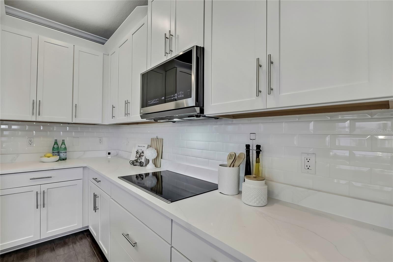 19793 LONG LAKE RANCH BLVD, LUTZ, FL, 33558