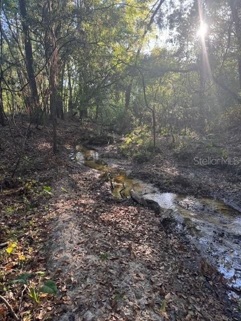 0 KATIE WOOD TRL, BROOKSVILLE, FL, 34602