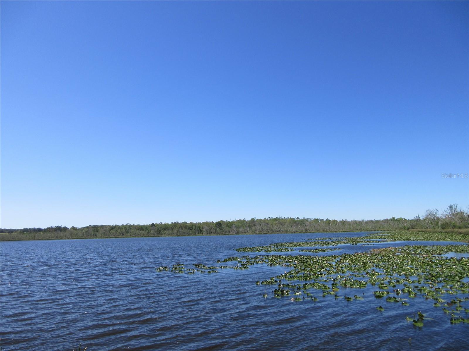 3745 SE 174TH CT, OCKLAWAHA, FL, 32179