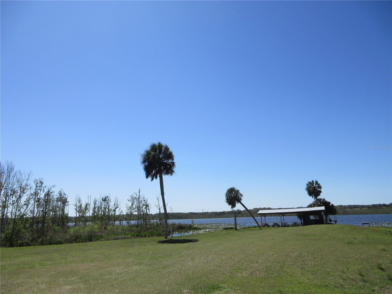3745 SE 174TH CT, OCKLAWAHA, FL, 32179