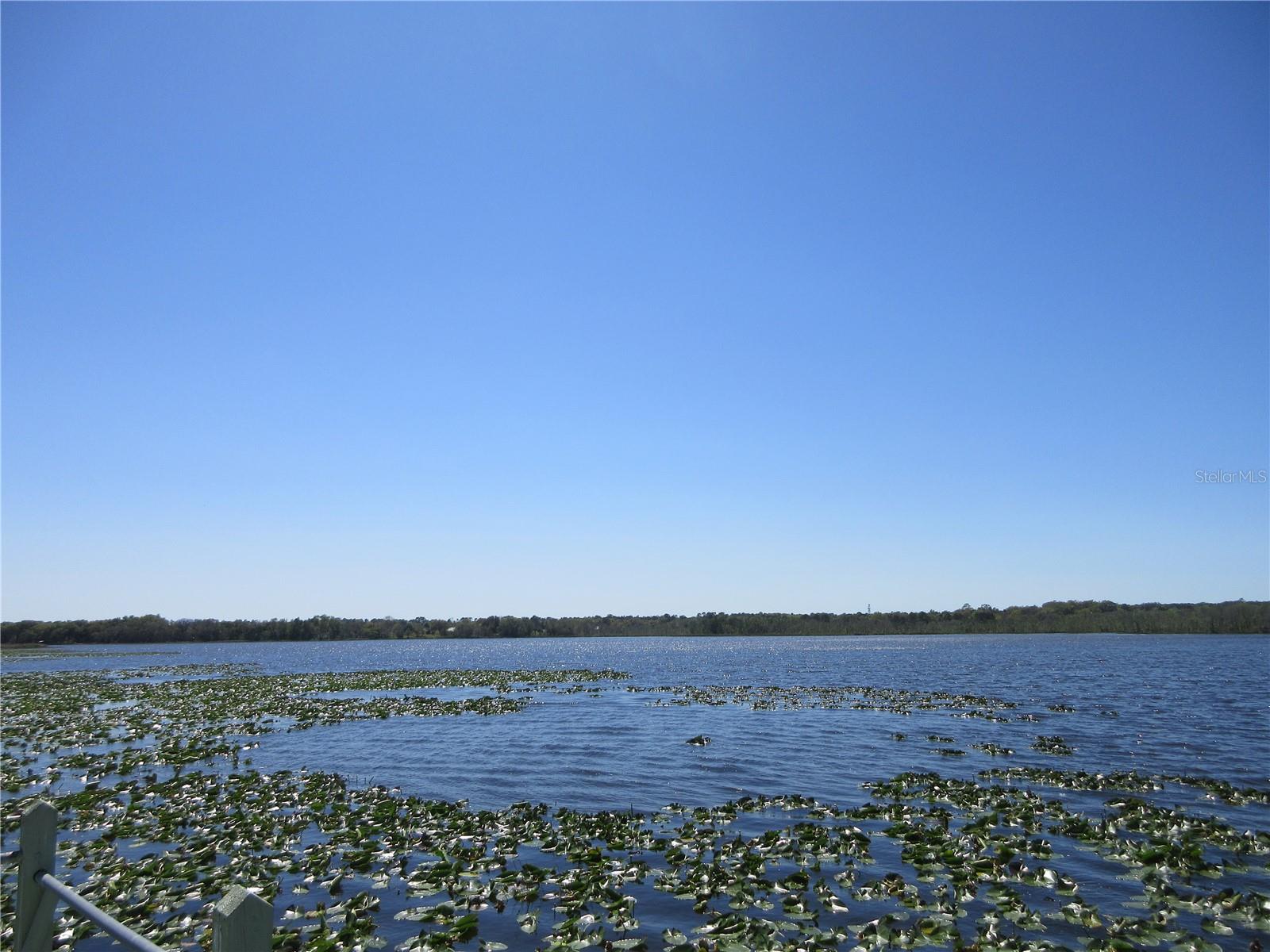 3745 SE 174TH CT, OCKLAWAHA, FL, 32179