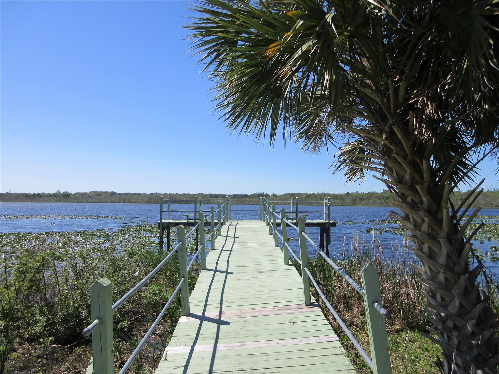 3745 SE 174TH CT, OCKLAWAHA, FL, 32179