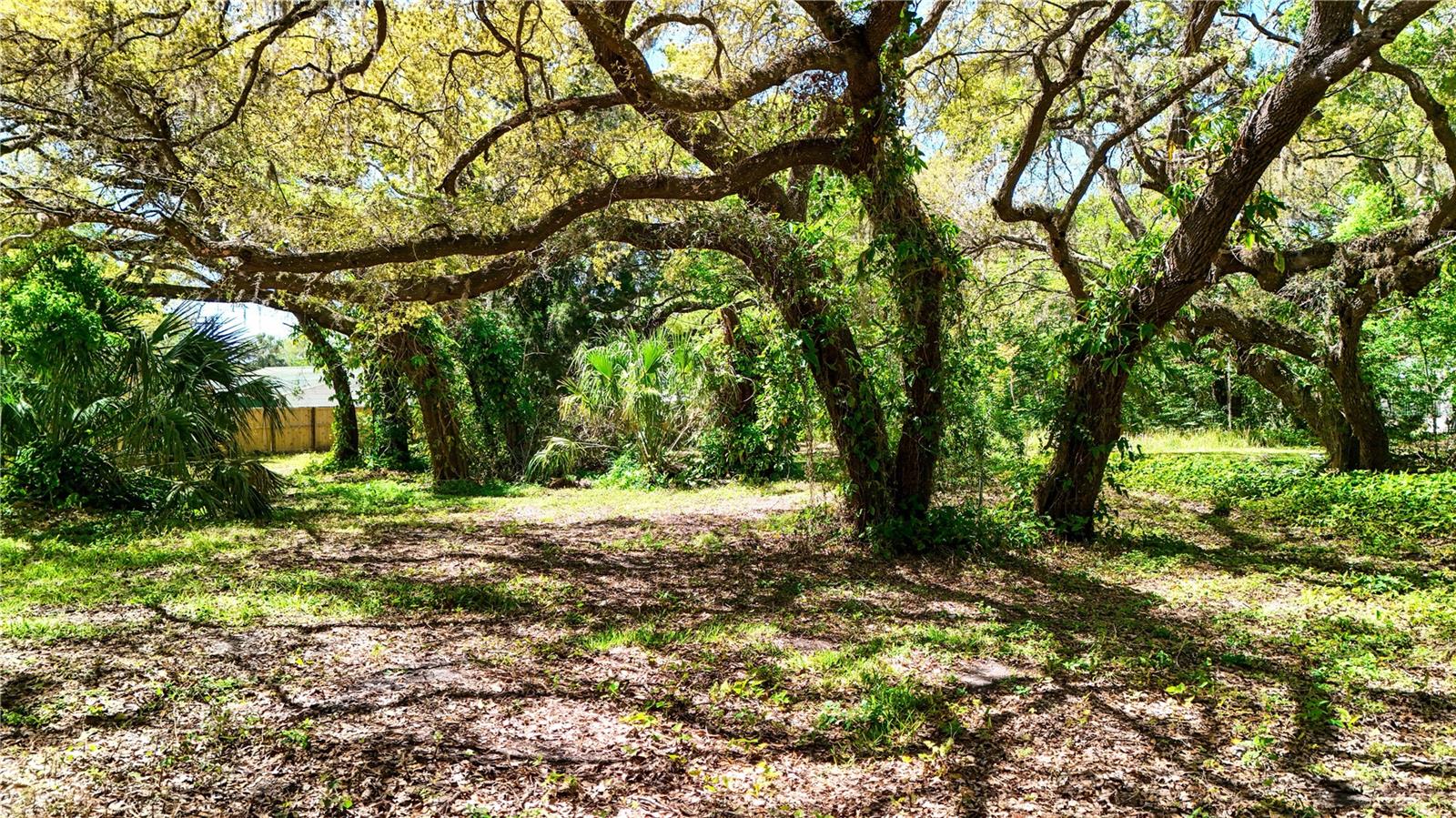 9240 CRESTON AVE, NEW PORT RICHEY, FL, 34654