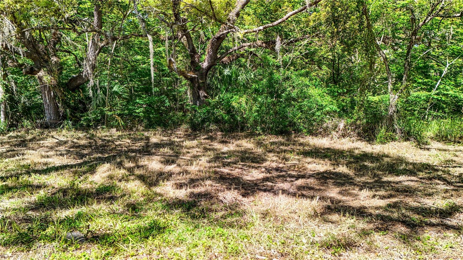 9240 CRESTON AVE, NEW PORT RICHEY, FL, 34654