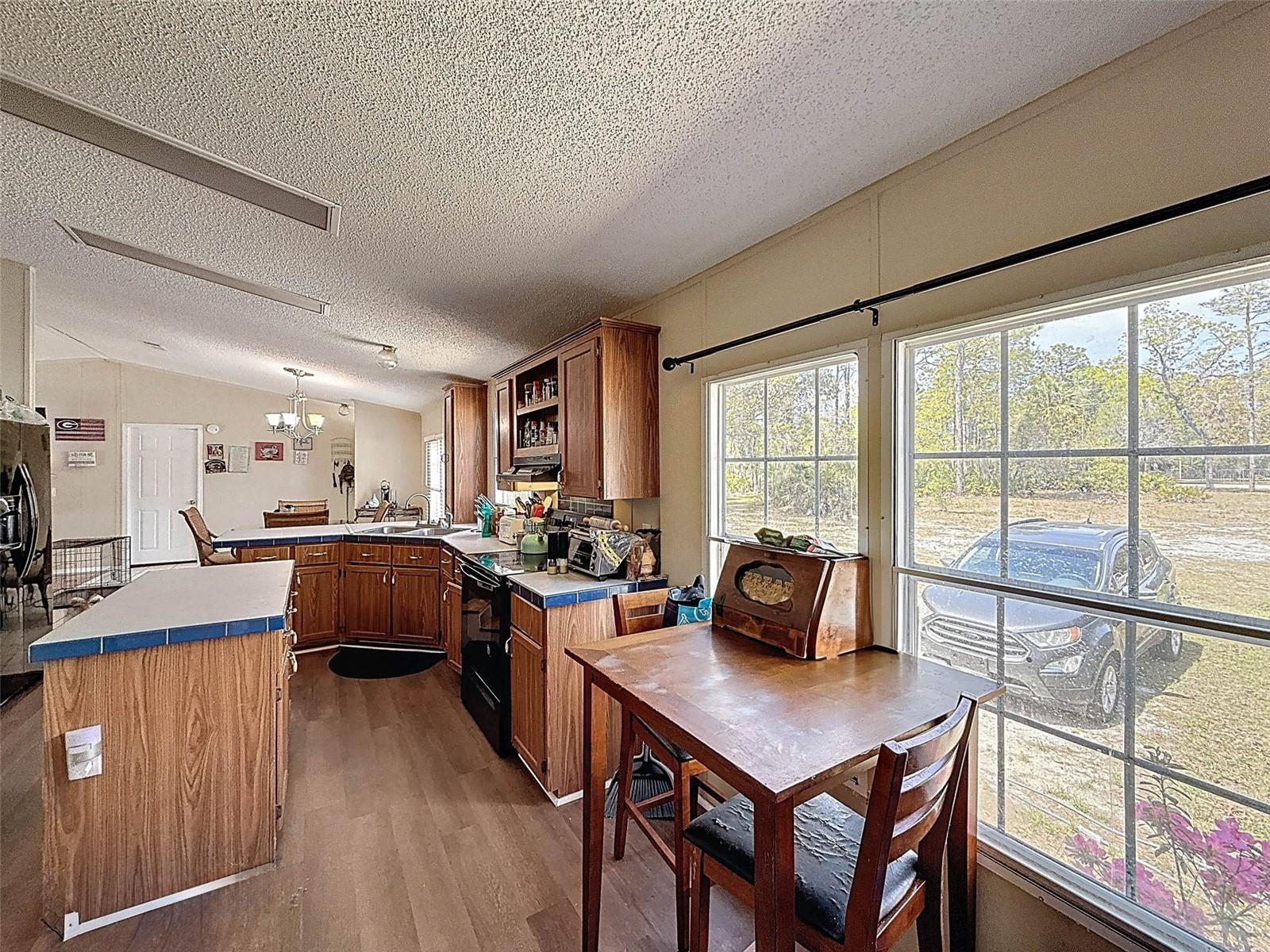 6540 W HOLIDAY ST, HOMOSASSA, FL, 34446