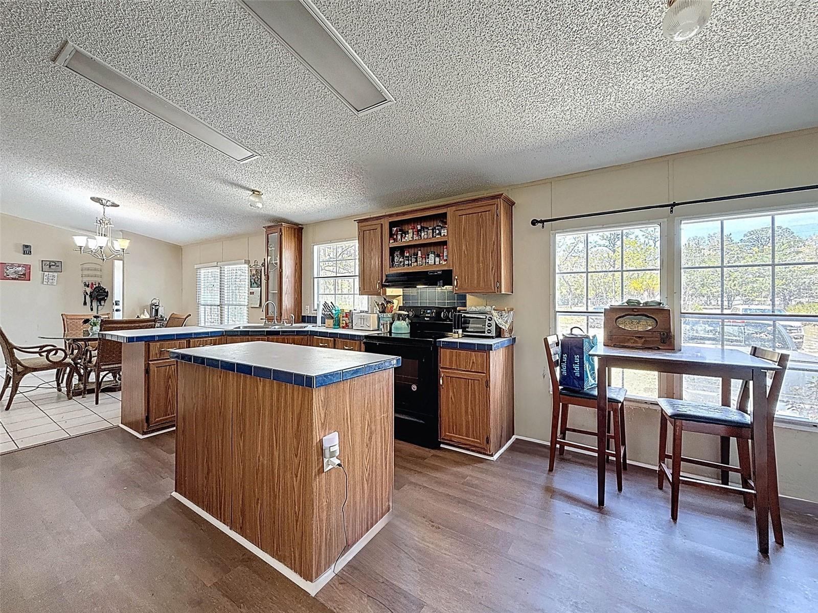 6540 W HOLIDAY ST, HOMOSASSA, FL, 34446