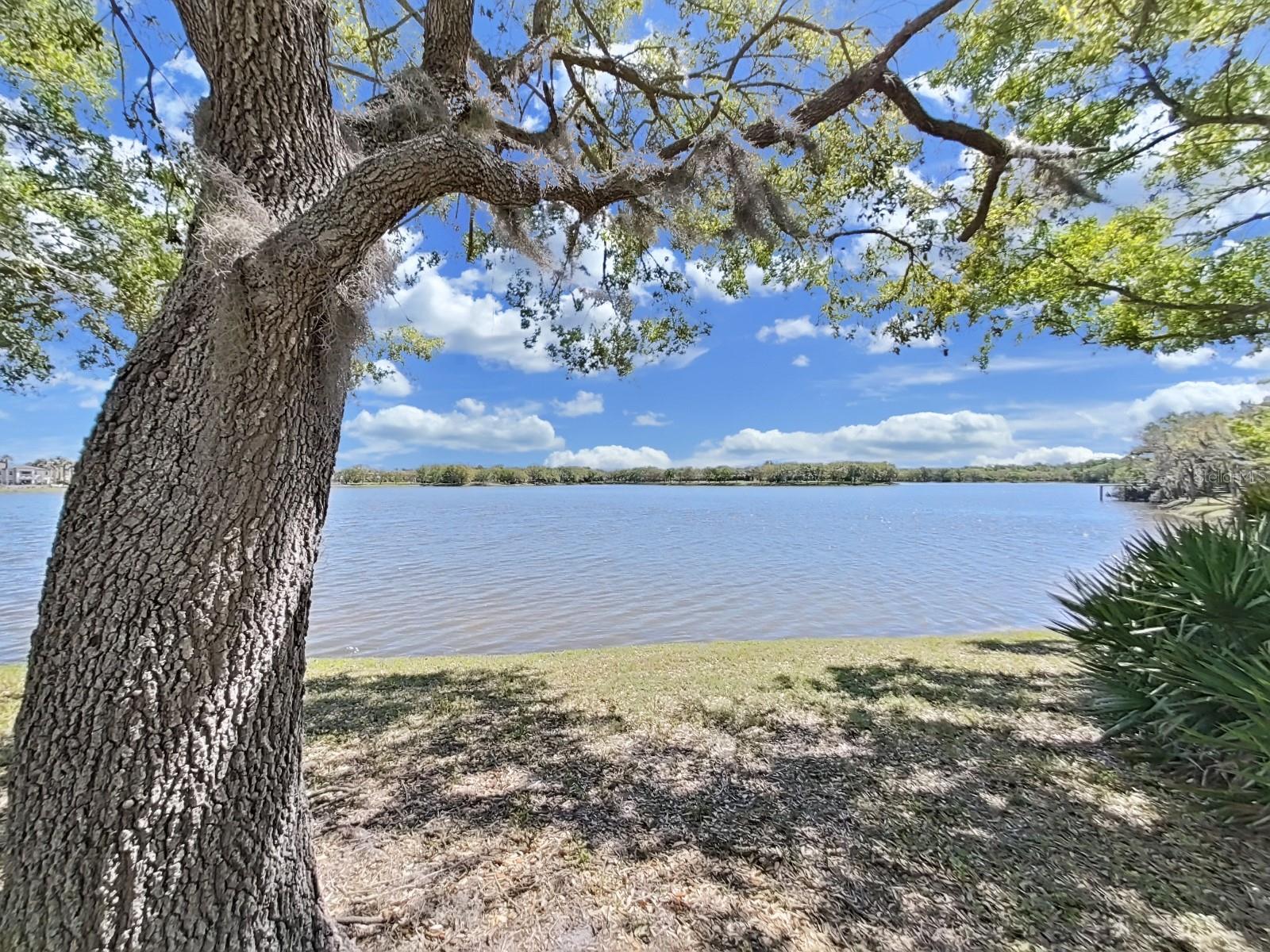 14537 COTSWOLDS DR, TAMPA, FL, 33626