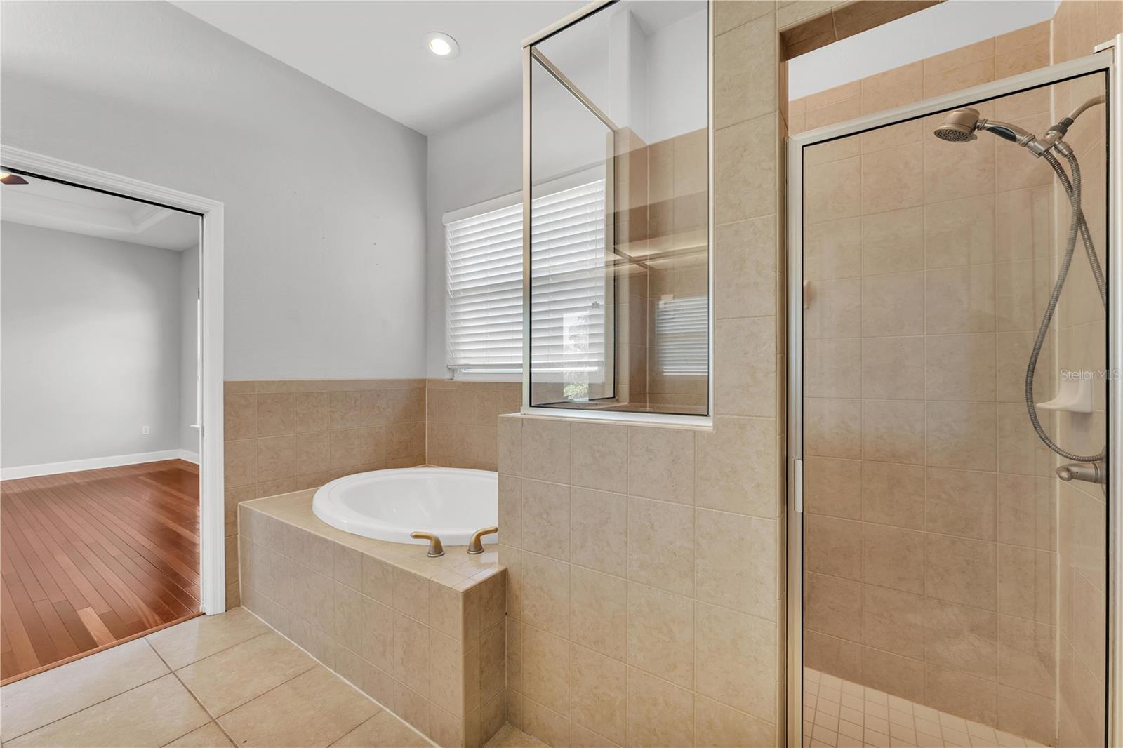 6720 HIGHLANDS CREEK LOOP, LAKELAND, FL, 33813