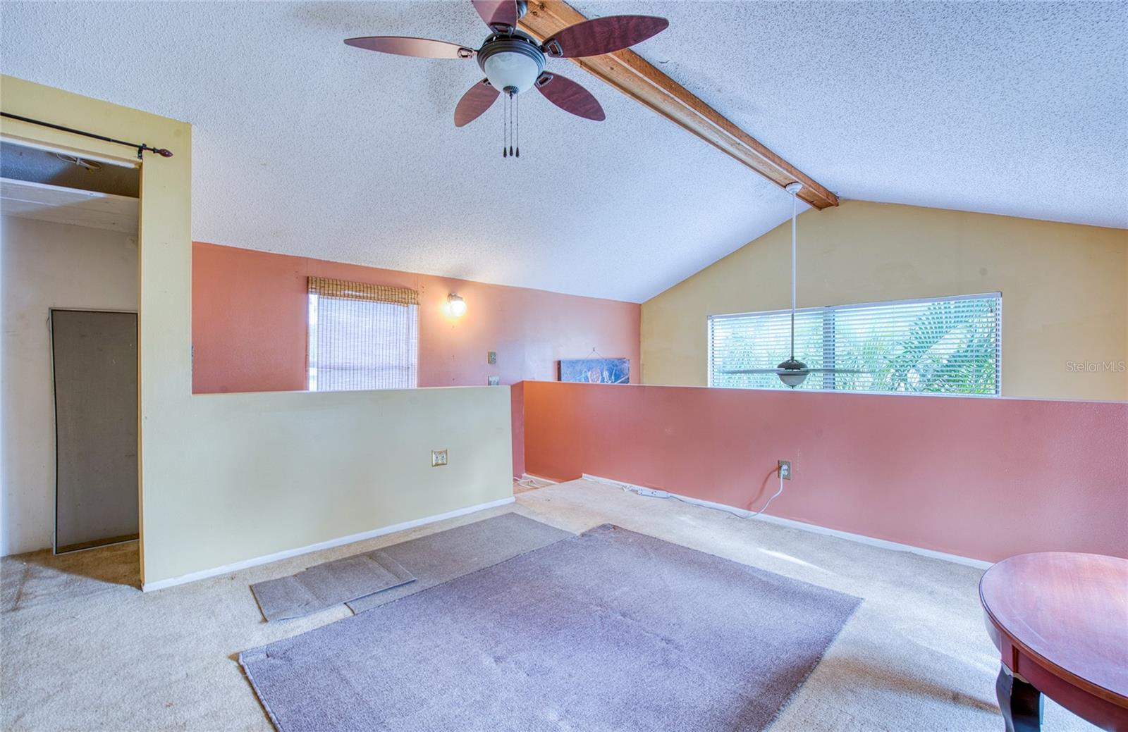5741 RIDDLE RD, HOLIDAY, FL, 34690