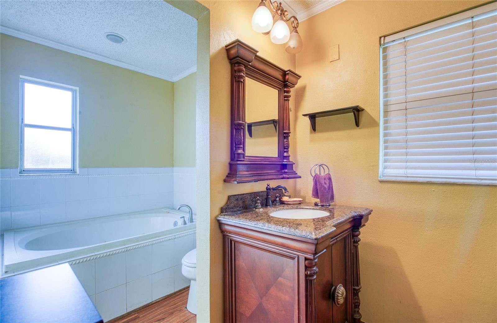 5741 RIDDLE RD, HOLIDAY, FL, 34690