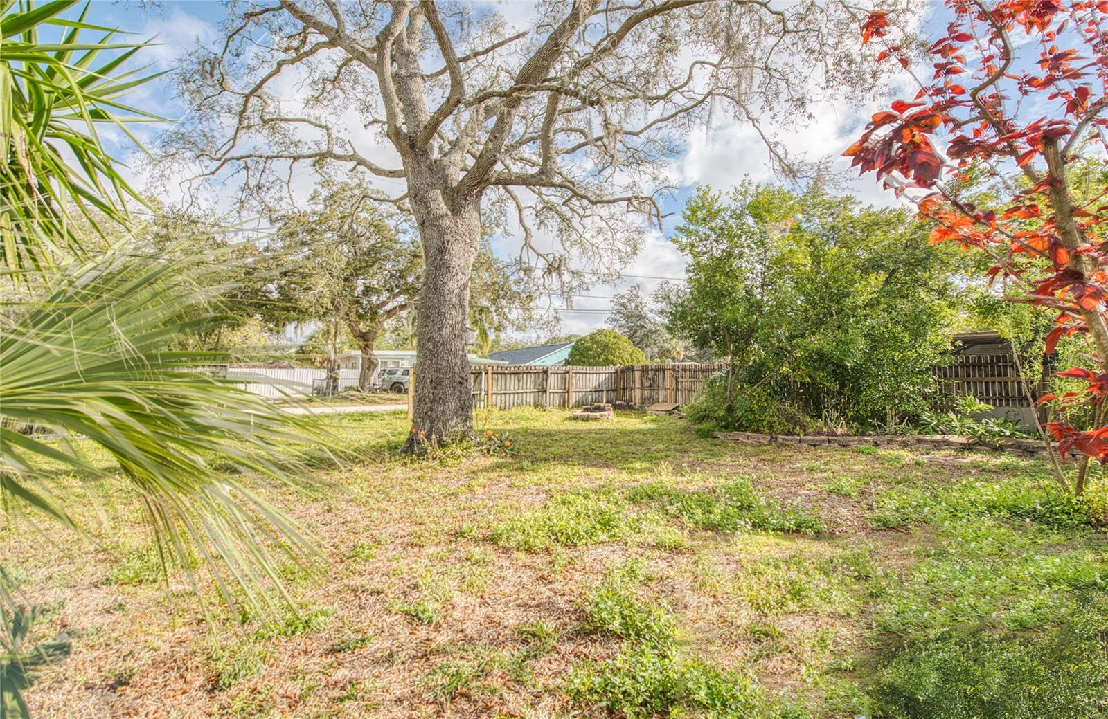 5741 RIDDLE RD, HOLIDAY, FL, 34690