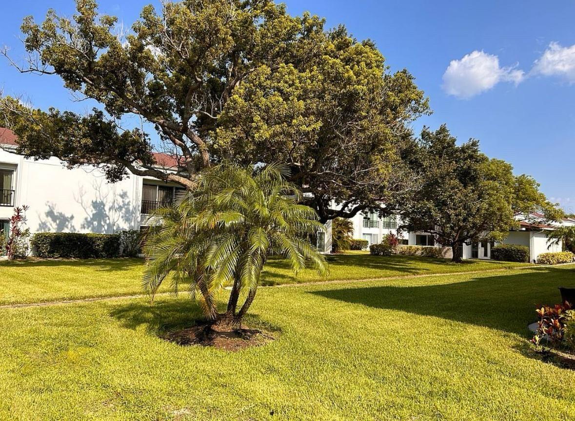 2060 MARILYN ST #234, CLEARWATER, FL, 33765
