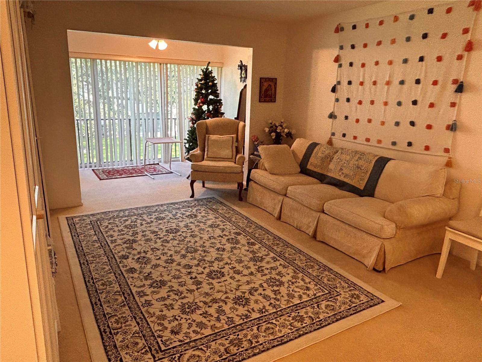 2060 MARILYN ST #234, CLEARWATER, FL, 33765