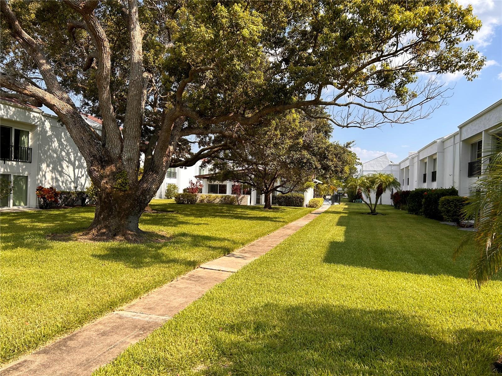2060 MARILYN ST #234, CLEARWATER, FL, 33765
