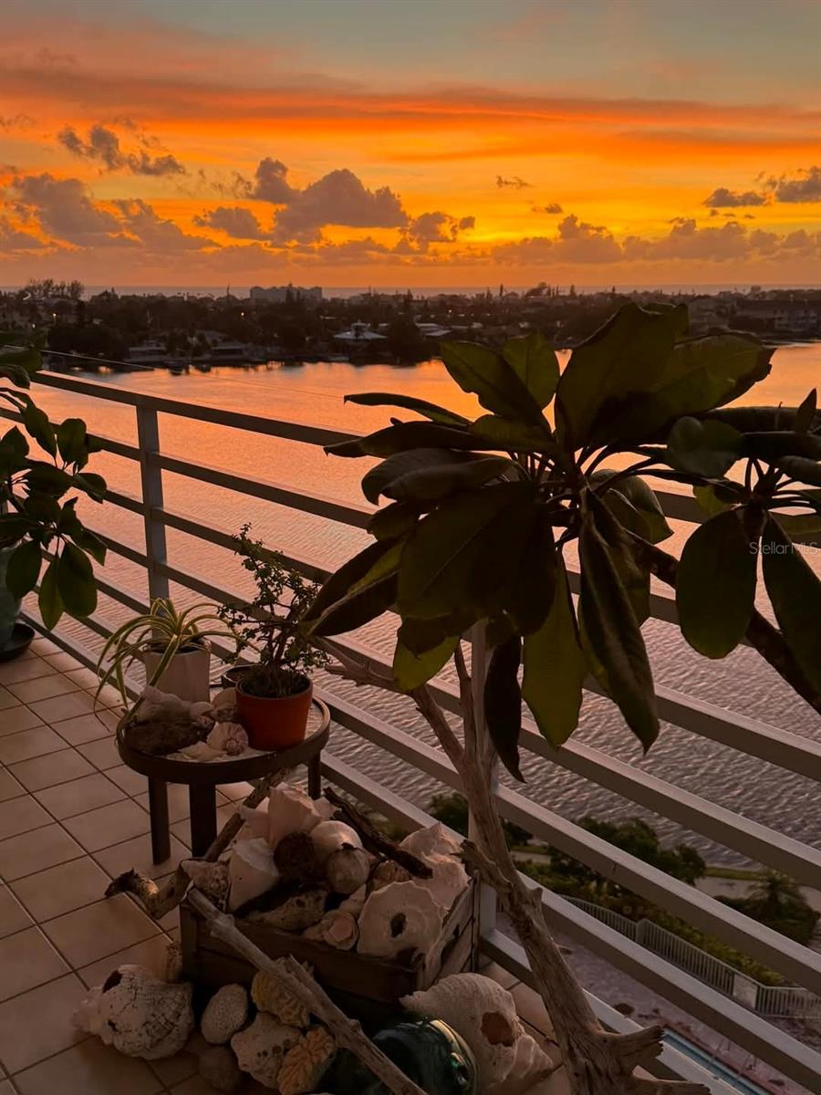 7932 SAILBOAT KEY BLVD S #806, SOUTH PASADENA, FL, 33707