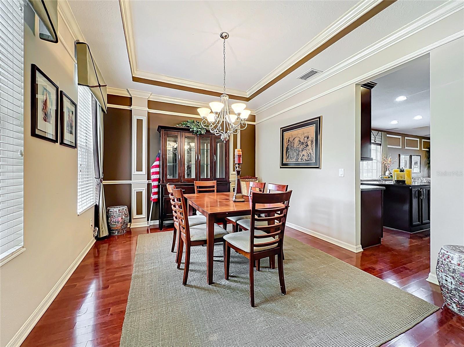6002 CHURCHSIDE DR, LITHIA, FL, 33547